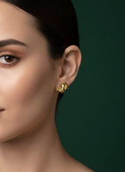 Elegant Fish Design Studs