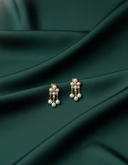 Fancy Beaded Earrings