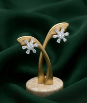 Silver Plated Oxidized AD stone Studs