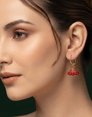 Gold Plated Stylish Jhumki Earrings